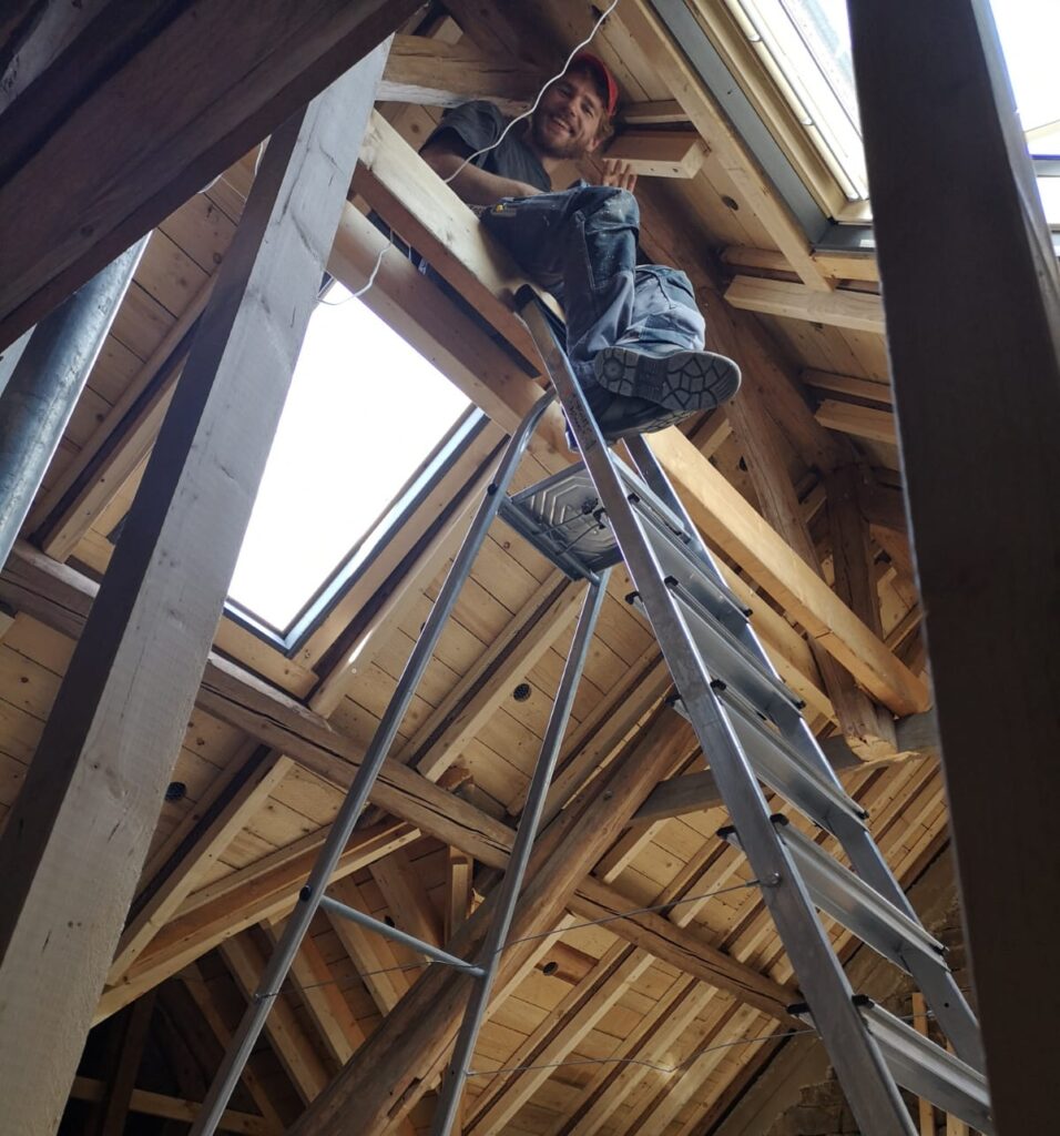 plankekoorts introduction